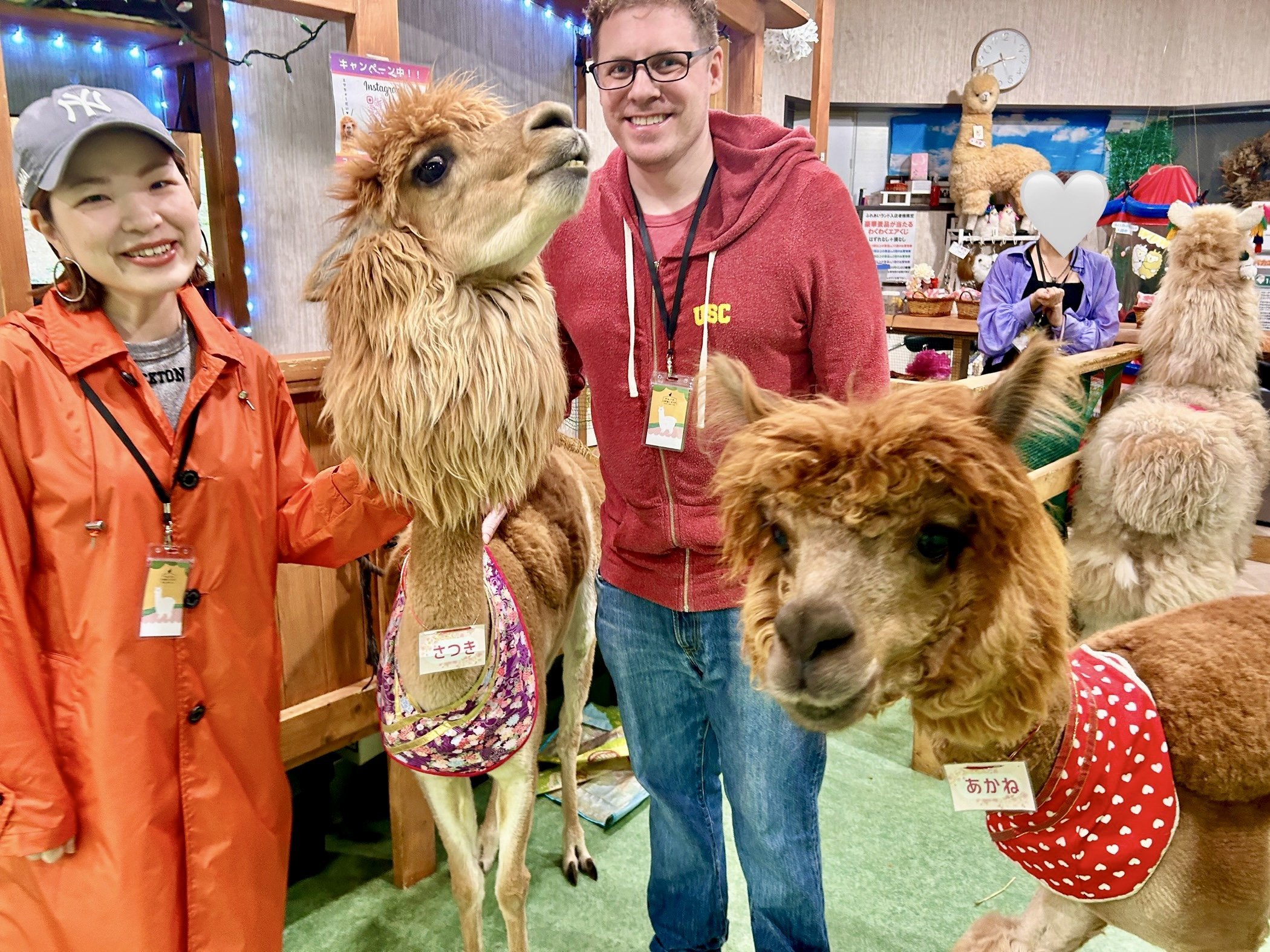 🐾 모프 애니멀 월드 빅 홉 가든 몰 인자이점 이미지 7